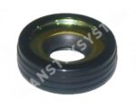 PARAOLIO P-1062
